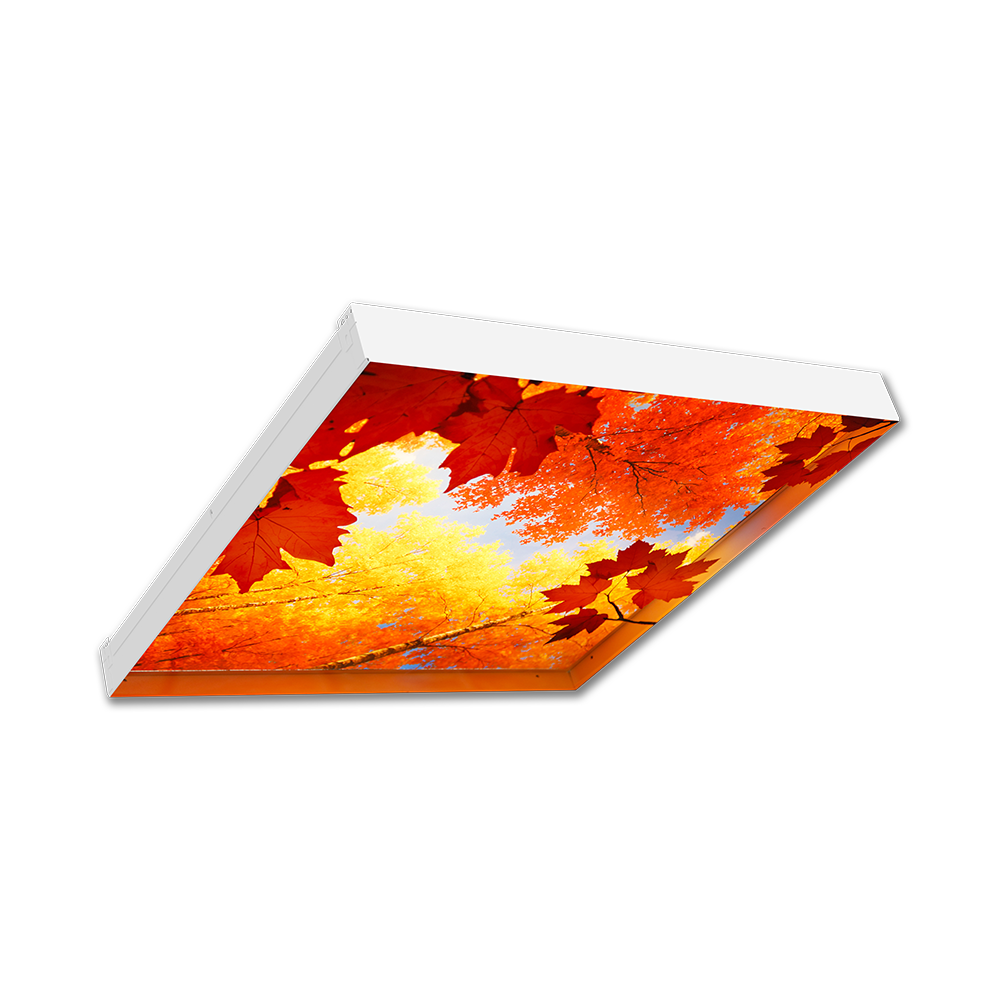 Product image for LED - MRI 3D Recessed Graphic Luminaire